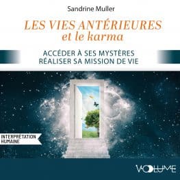 les vies antérieures et le karma